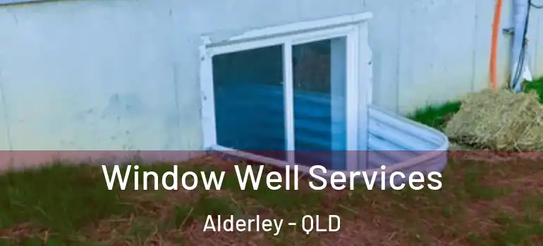 Window Well Services Alderley - QLD