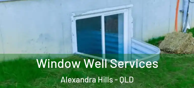  Window Well Services Alexandra Hills - QLD