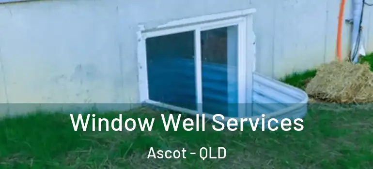  Window Well Services Ascot - QLD