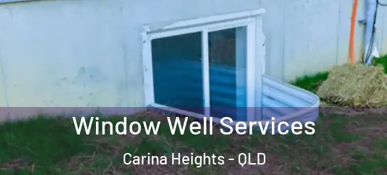 Window Well Services Carina Heights - QLD