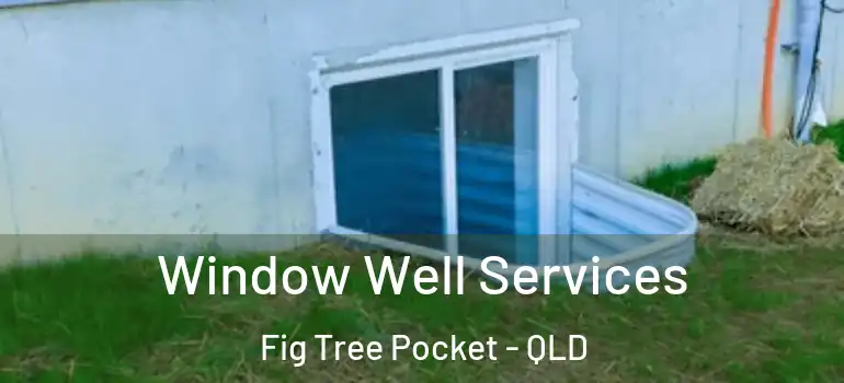  Window Well Services Fig Tree Pocket - QLD